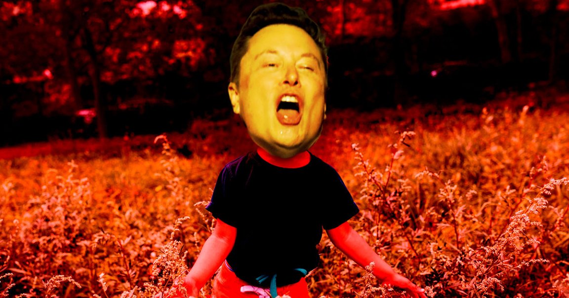 An ex-Tesla executive has unloaded on her former boss Elon Musk, who, according to her, used to transform into another person when he got mad.