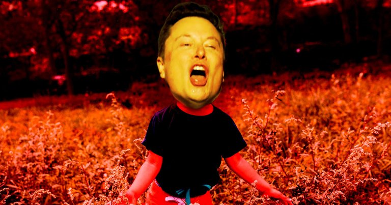 An ex-Tesla executive has unloaded on her former boss Elon Musk, who, according to her, used to transform into another person when he got mad.