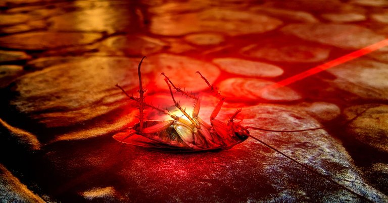 Researchers at Edinburgh's Heriot-Watt University have constructed an AI-powered robot trained to kill cockroaches and other insects with a deadly laser.