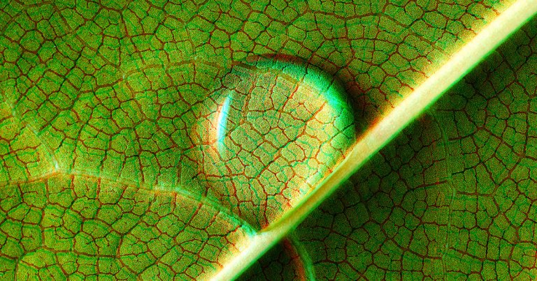A team of researchers from Purdue University claim to have discovered the basic "chemistry behind the origin of life" on Earth — in droplets of water.