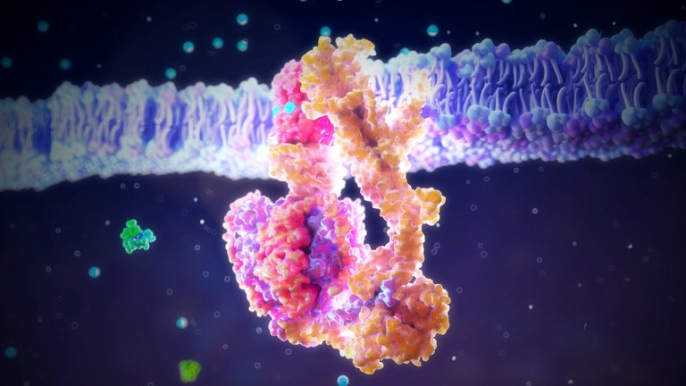 ATP, the universal energy molecule, couldn't rise to the top alone. It needed both water and another phosphorylating molecule, called AcP, to do it.