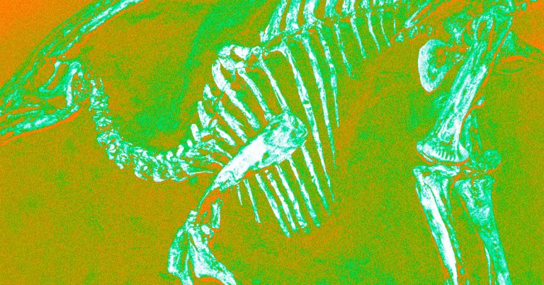 Billionaire commercial astronaut Jared Isaacman says we should bring back the dinosaurs — and we're almost convinced that he's kidding.