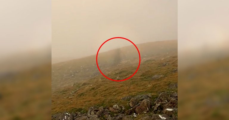 Thanks to a rare and very trippy optical illusion called the "Brocken spectre," the sensation of being followed may not be just in your head after all.