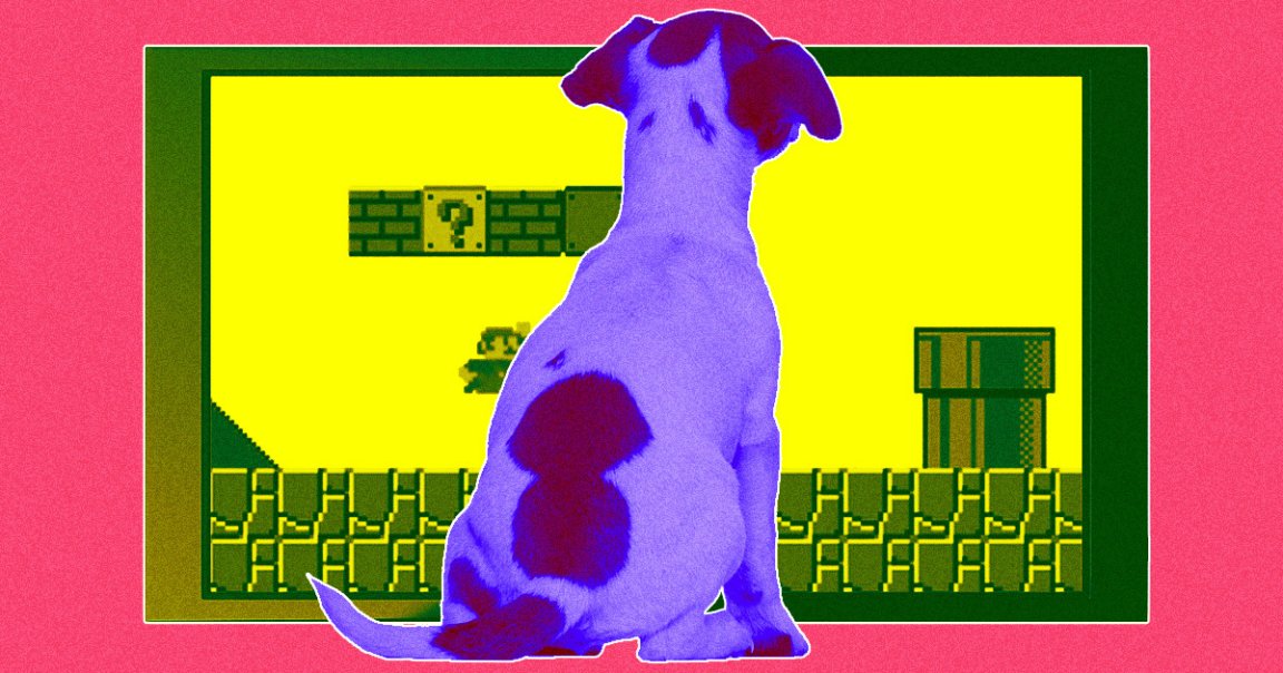 From the department of Why Not, Axios reports that a UK-based startup dubbed Joipaw is prototyping a new kind of videogame... made for dogs.