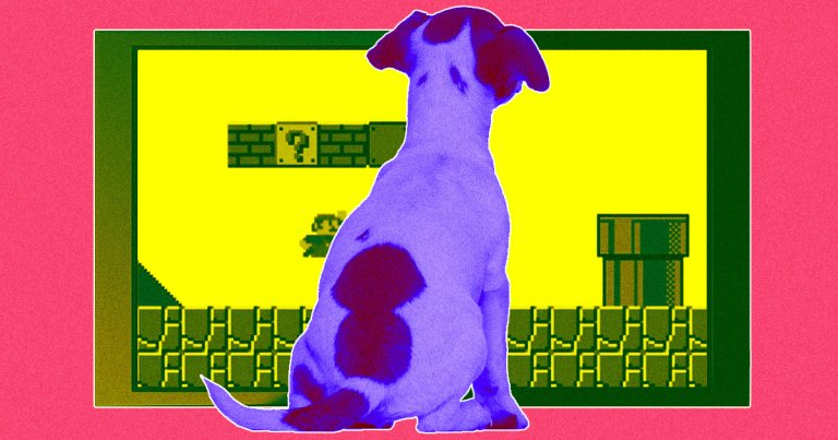 From the department of Why Not, Axios reports that a UK-based startup dubbed Joipaw is prototyping a new kind of videogame... made for dogs.