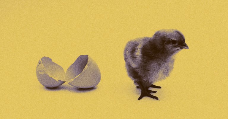 Billions of male chicks are culled each year, so scientists have approached this grisly reality by limiting the amount of males born via gene-editing.