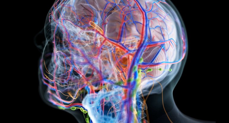 Max Hodak started Neuralink with Elon Musk. But he later left the company and started Science Corp -- and now he's rapidly catching up.