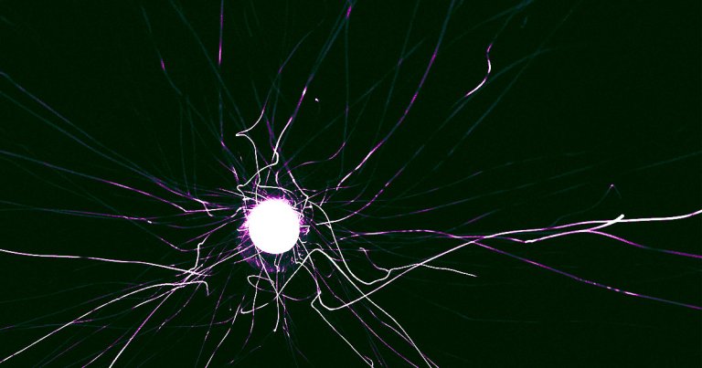 Most scientists believe in an immutable set of "laws of physics" — but one outlier among their ranks thinks those "laws" might not exist at all.