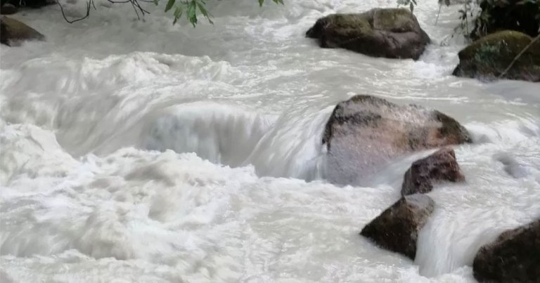 Environment officials in the UK were stunned after an entire river turned snow white in the south of England, the BBC reports.