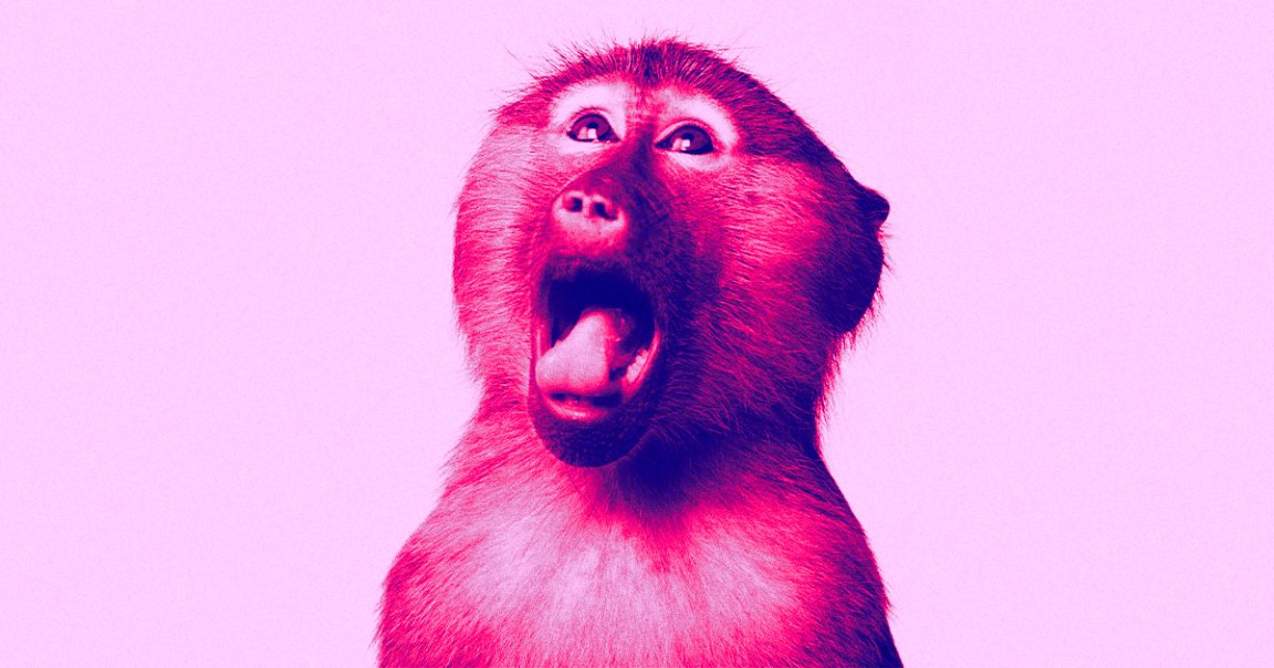 Strange things were certainly afoot this weekend, with zookeepers in Dallas and Louisiana announcing separate incidents of monkey theft.