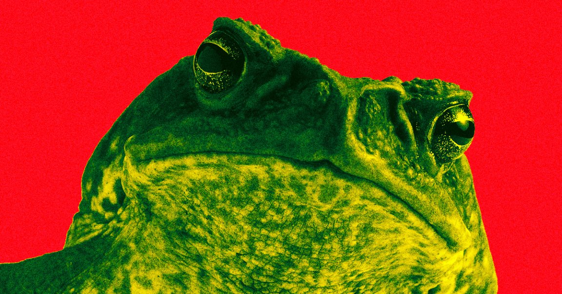 A cane toad dubbed "Toadzilla" has been crowned as the world's largest known toad. But sadly, our hefty heroine's story has already come to an untimely end.