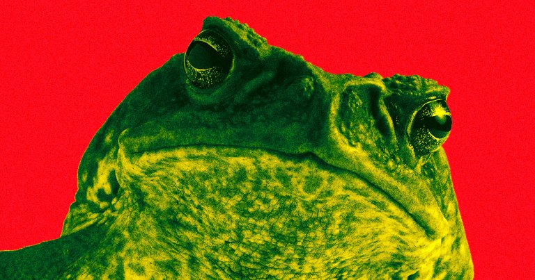 A cane toad dubbed "Toadzilla" has been crowned as the world's largest known toad. But sadly, our hefty heroine's story has already come to an untimely end.