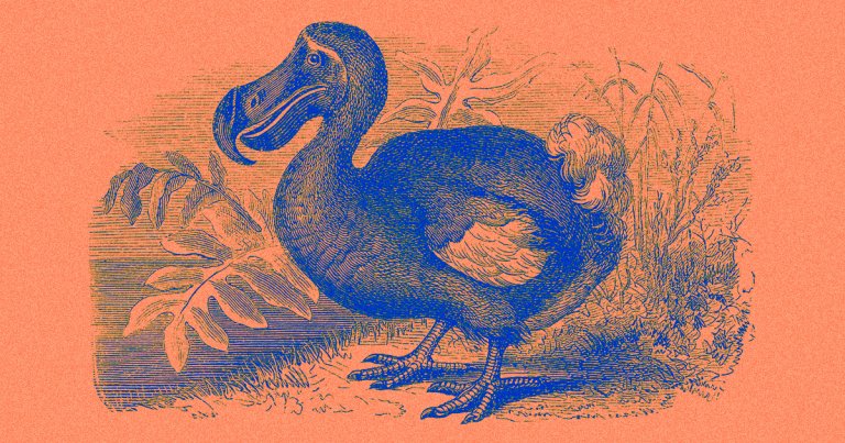 Colossal Sciences, a self-branded "de-extinction" company, has rallied another significant amount of funding and has completed sequencing a dodo genome.