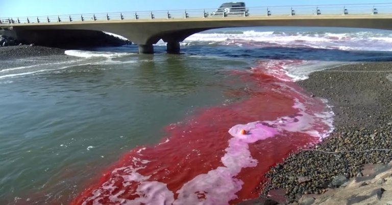 No, you're not tripping, nor is the world's end nigh. Your local scientists are just trying to figure out how fresh water interacts with ocean water.