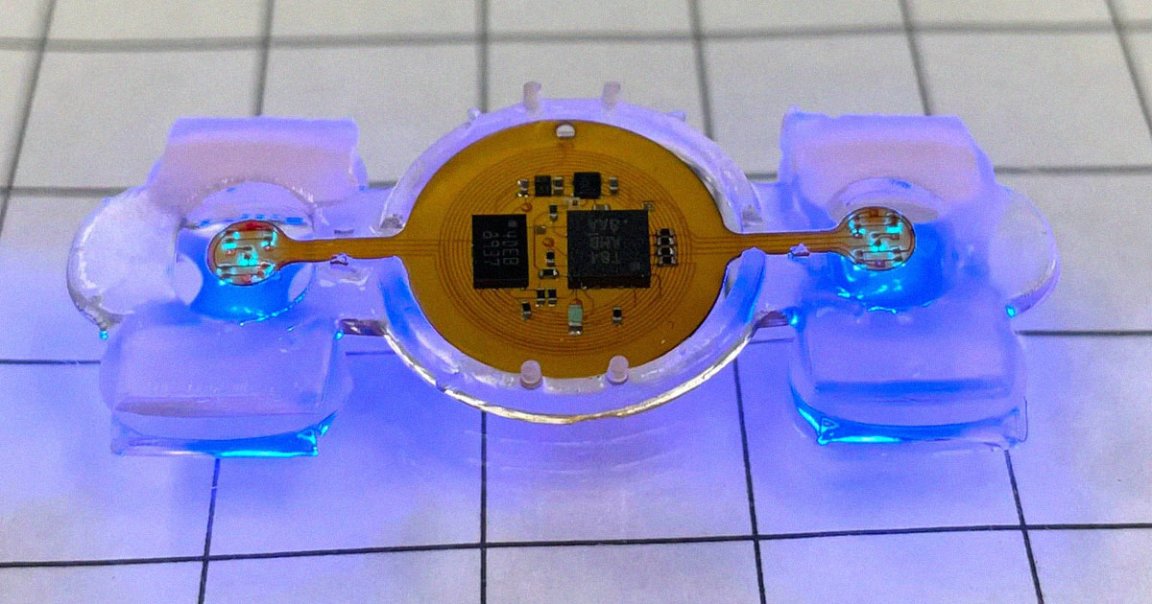 Scientists have created a a remote-controlled walking robot that runs on mouse muscle cells, Inverse reports, an eerie mashup.