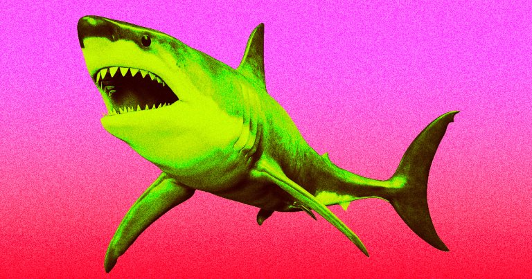 A Chinese influencer who thought it was a great idea to purchase, grill, and eat a whole great white shark has been fined by her country for doing so.