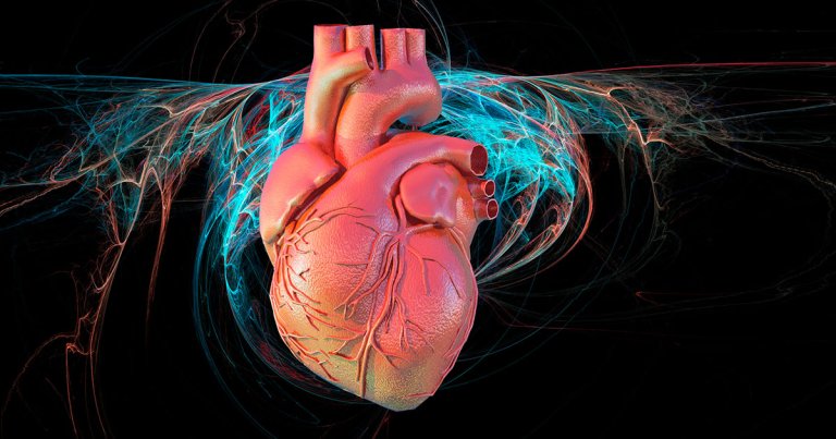 The genes of people who live past 100 may help those of us who age less gracefully stay heart-healthy for longer thanks to some exciting new research.
