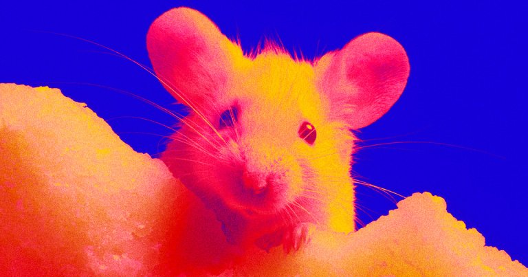 Using stem cells to grow minitiarized intestinal tissue called organoids, the researchers recreated a human immune response inside mice.