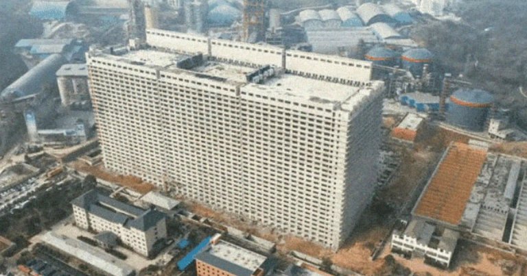 China is constructing giant towers with well over a dozen stories to farm pigs, The New York Times reports, a massive drive to stabilize prices.