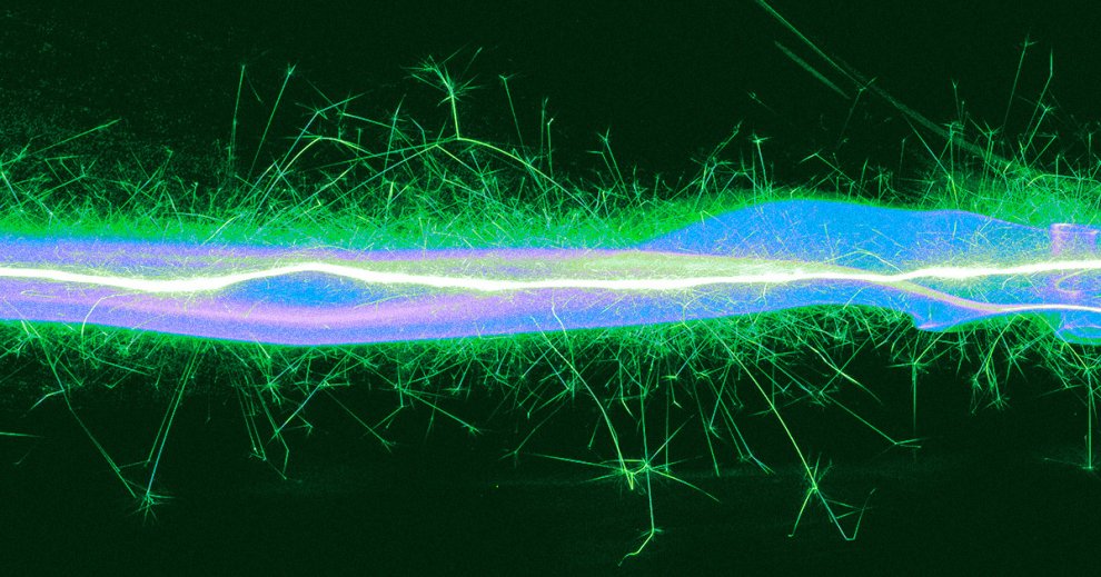 Scientists Discover Enzyme That Can Turn Air Into Electricity