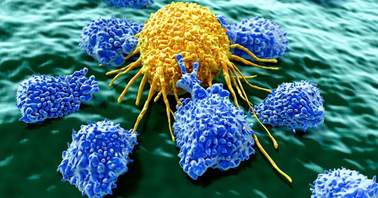 A team of researchers at Tel Aviv University in Israel has come up with tiny micro-robots that can distinguish between healthy and dying cells.