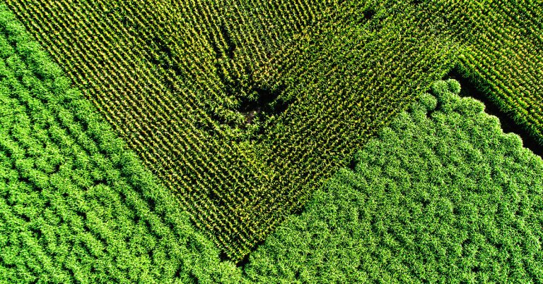 A team of researchers has proposed a radical and potentially affordable solution that could solve the entire climate crisis in one fell swoop.