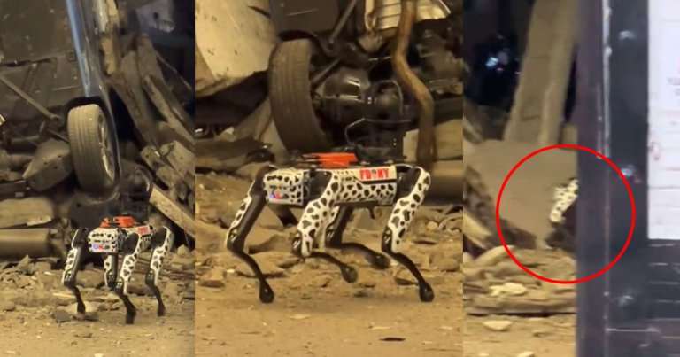In a viral social media video, the FDNY's new Spot robodog is seen being deployed into a search-and-rescue zone — only to simply fall over.