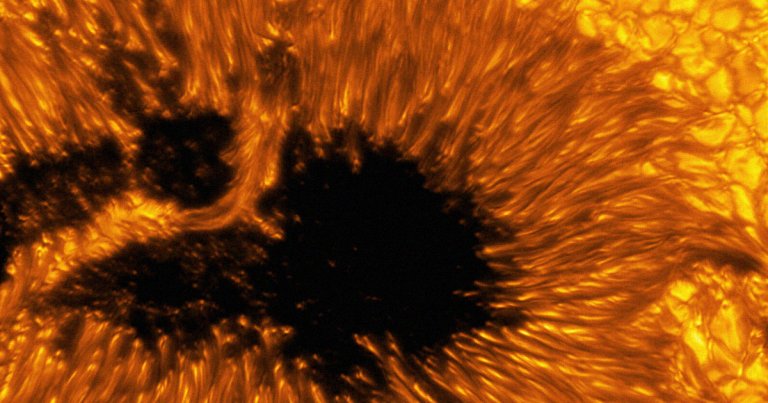 This Extreme Closeup of the Sun Is Just… Extremely Weird