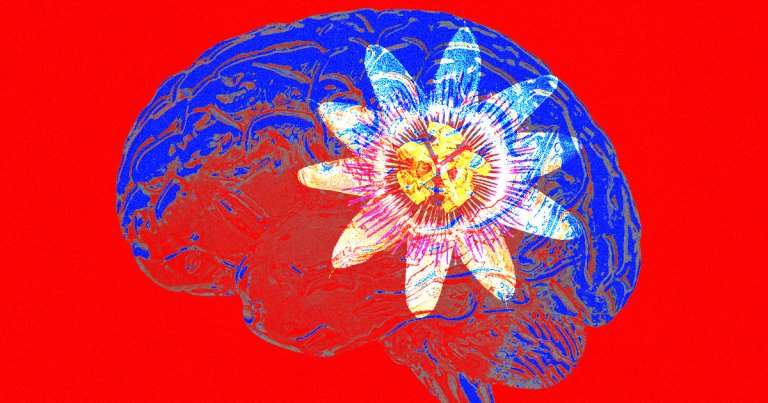 Scientists built a brain monitor that can be deployed through a tiny hole in the cranium and unfold like a flower between bone and brain.