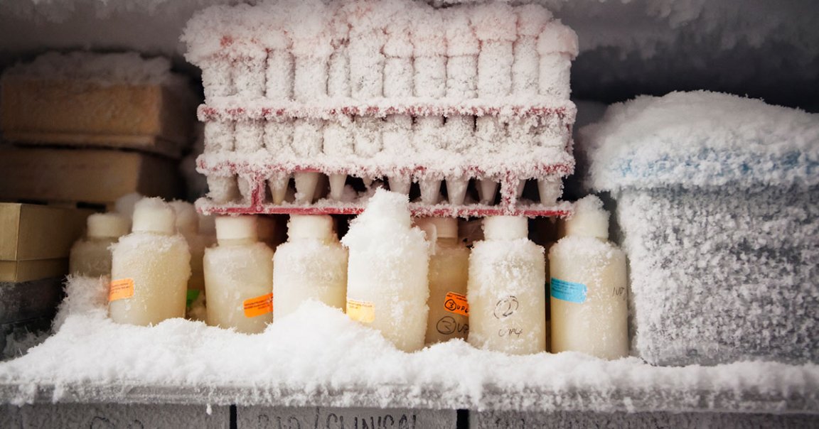 In an apparent attempt to turn off a beeping noise, a janitor turned off the breaker to a freezer that contained extremely valuable research.