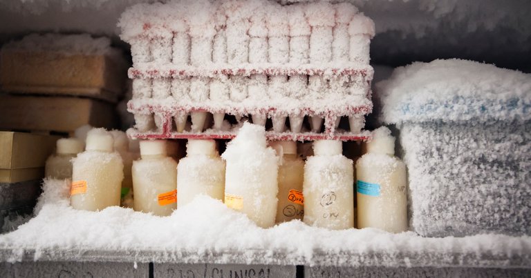 In an apparent attempt to turn off a beeping noise, a janitor turned off the breaker to a freezer that contained extremely valuable research.
