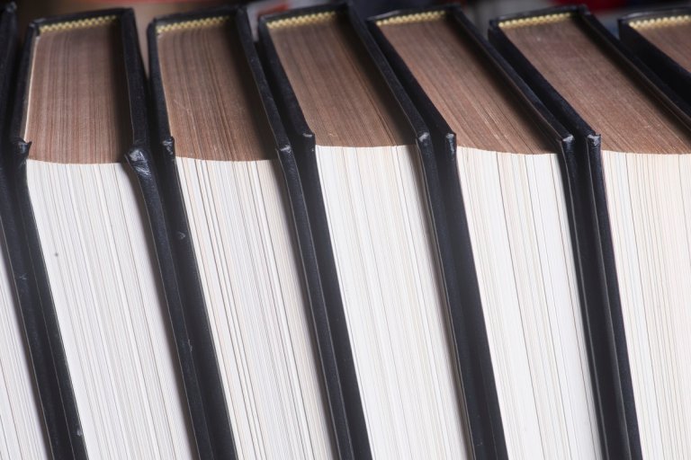 Forget the gas masks and Spam, and maybe try buying some encyclopedias to prepare for the AI-driven information apocalypse instead.