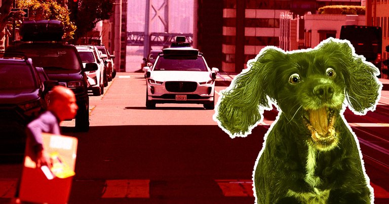Self-Driving Car Runs Over Dog