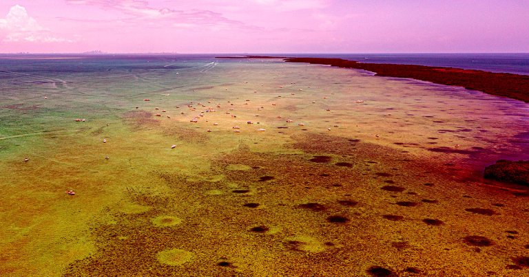 The coast of Florida is being hit hard by heat waves, with one buoy registering 101.1 degrees Fahrenheit, the temperature of a hot tub.