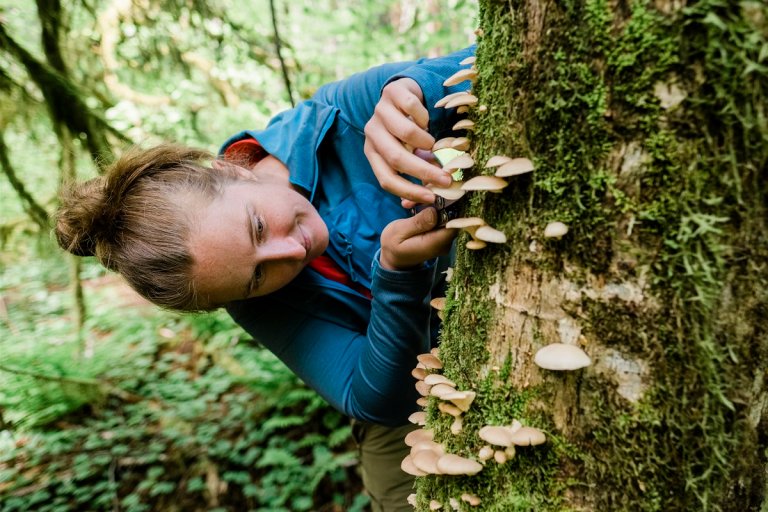 If you're considering a foray into amateur mushroom foraging, you might want to reconsider shopping for your beginner's guide on Amazon.