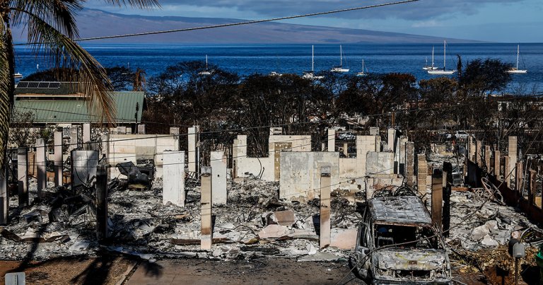 A book claiming to document the events of the Maui wildfires was published on Amazon just days after the deadly disaster had begun.
