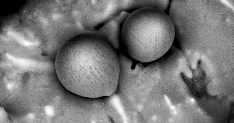 Avi Loeb, Harvard's premiere alien hunter, has become the first person to ever analyze an object from outside of our Solar System.