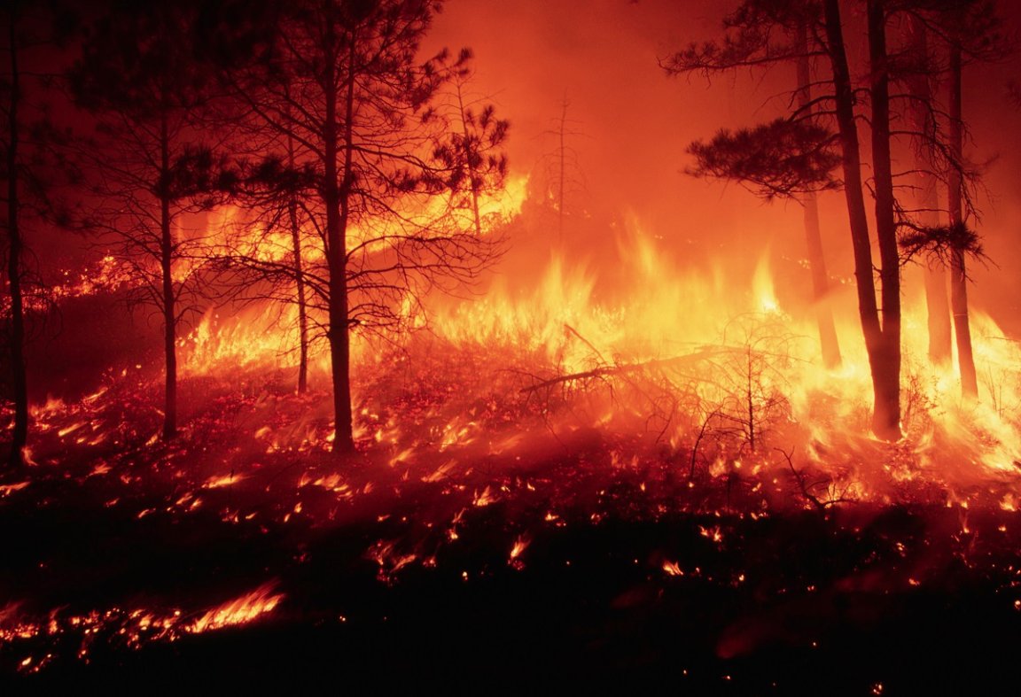 Oil giant Exxon Mobil, one of the more prominent architects of our planet's doom, says that humanity is likely to miss 2050 climate goals.