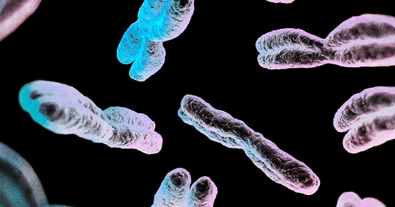 Advances in technology have allowed two teams of researchers to wade through its enormous amounts of junk DNA.