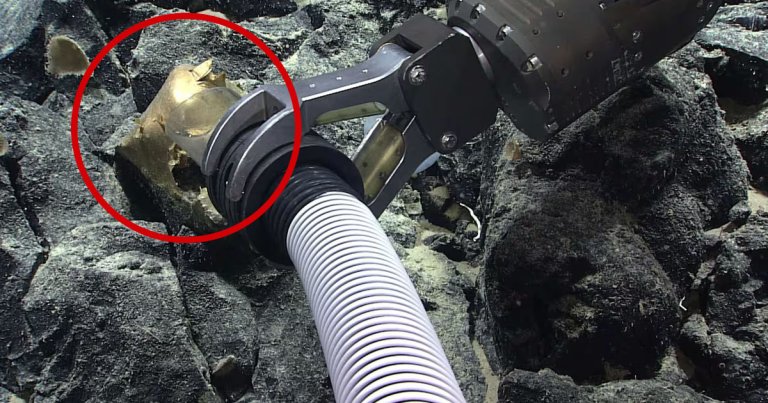 During a recent mission mapping a habitat off the coast of Alaska, a submersible came across a golden egg. Experts can only guess what it is.