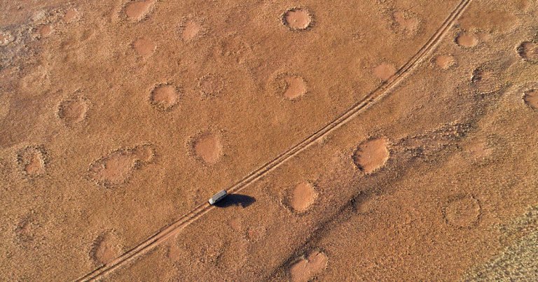 Using artificial intelligence, researchers have discovered thousands of new mysterious "fairy circles" in hundreds of locations.