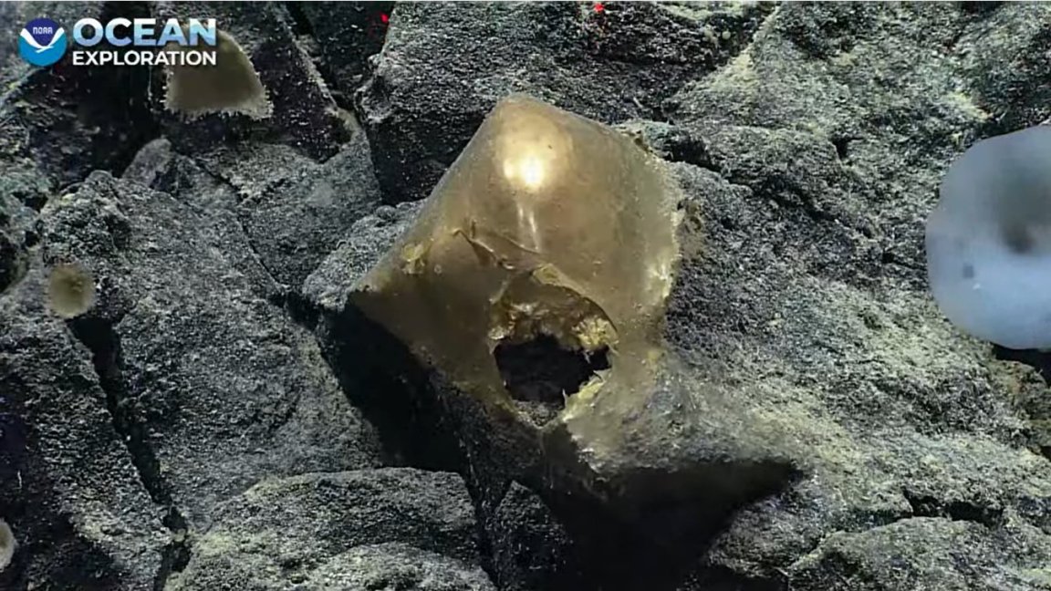 If you had "scientists discover spooky golden orb at the site of an ancient underwater volcano" on your 2023 bingo card, boy, are you in luck.