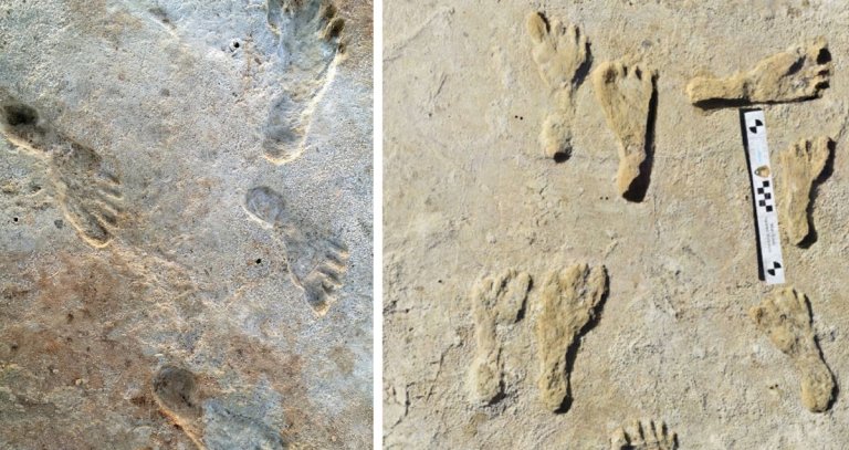 New evidence shows that a set of ancient footprints in New Mexico pre-date when scientists believed humans populated the Americas.