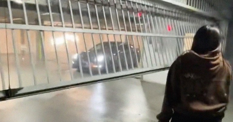 A particularly resourceful Tesla owner used the company's Summon feature to retrieve his Model 3 from a locked parking garage.