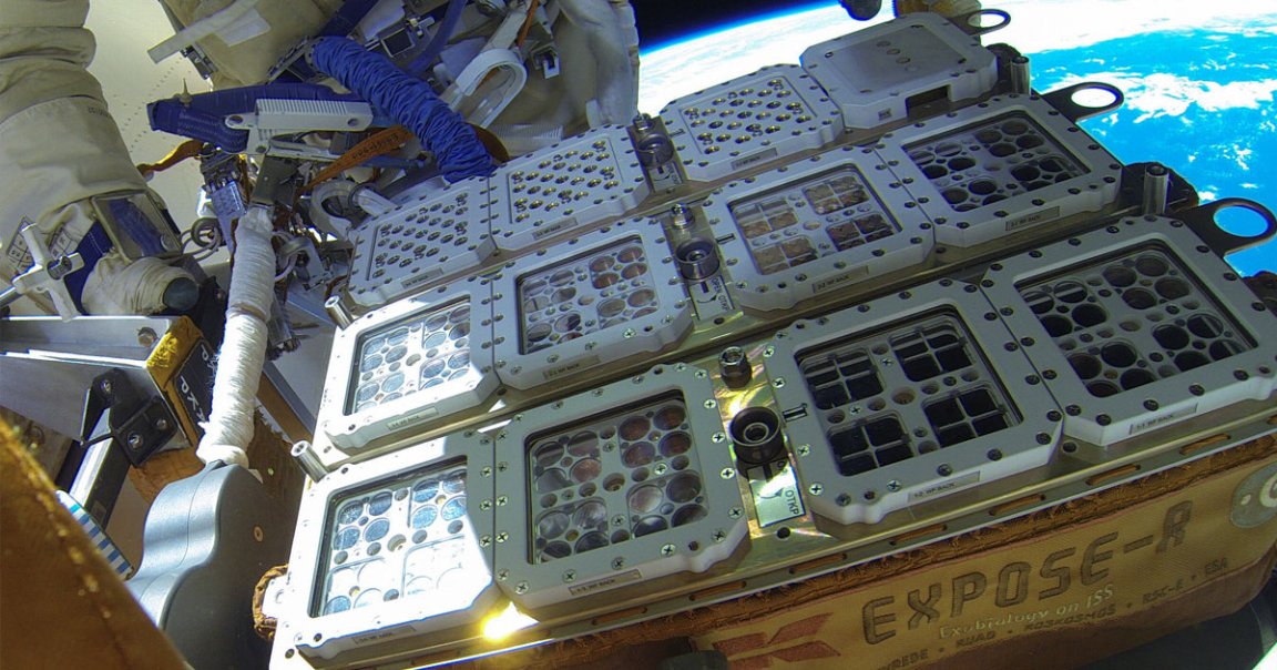 Two astronauts on the ISS are gearing up for a spacewalk to figure out if microorganisms on the outside of the station can survive.