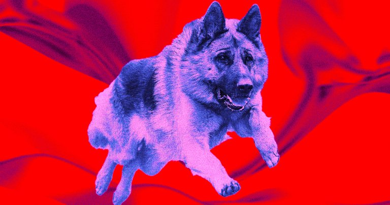 A perfectly-timed SBF biography reveals strange stories about the disgraced crypto czar, including unknown details about his killer pup.