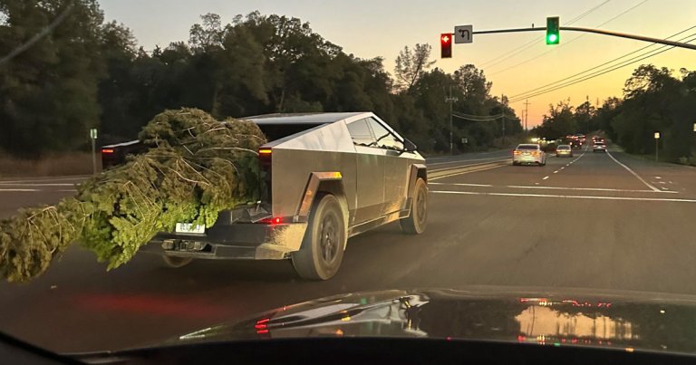 An image uploaded to the Cybertruck subreddit shows most of a Christmas tree dangerously protruding from the back of the truck.
