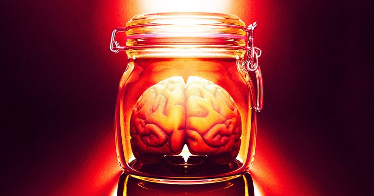 Researchers have developed a method to keep a brain alive and functioning for several hours without being connected to the body.