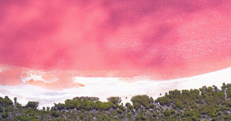 A small pond in Hawaii has turned an alarmingly bright shade of pink, alarming local residents and environmentalists.