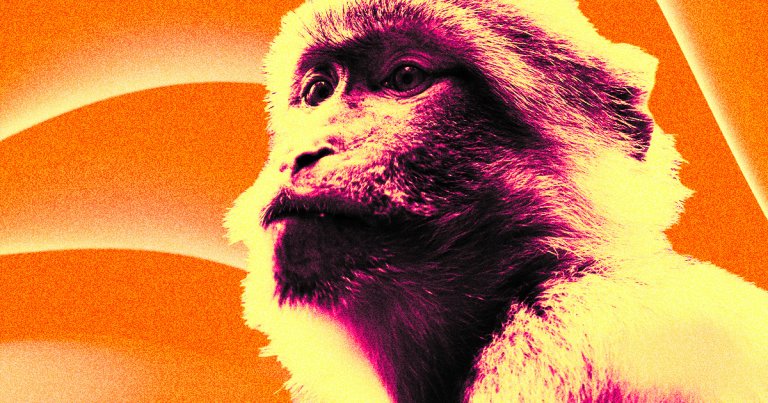 Congress members have urged the SEC to investigate Elon Musk for lying about how monkeys were treated at Neuralink.